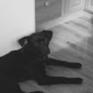 Meet your Posher, Shae